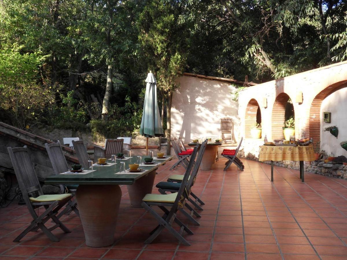 Vila Mas Senyarich Argelès-sur-Mer Exteriér fotografie