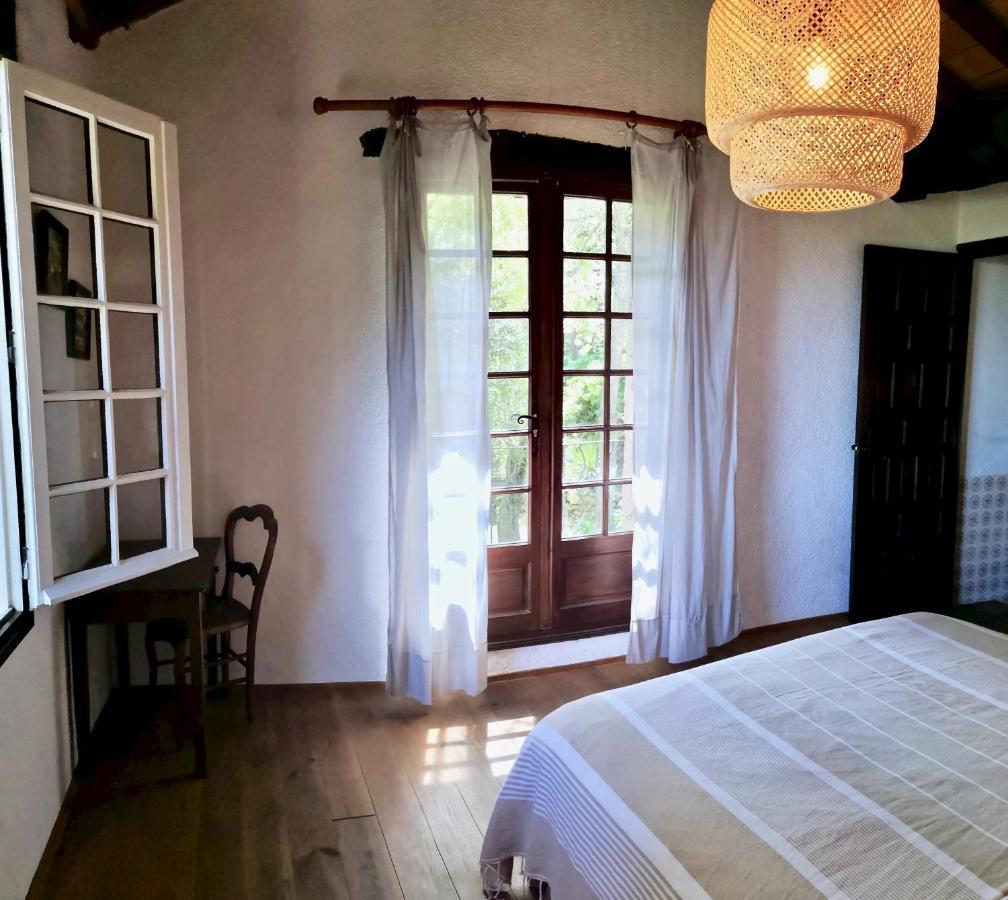 Vila Mas Senyarich Argelès-sur-Mer Exteriér fotografie