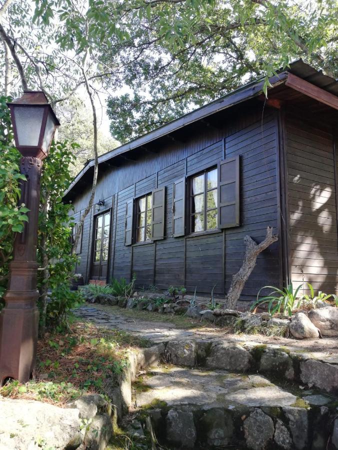 Vila Mas Senyarich Argelès-sur-Mer Exteriér fotografie