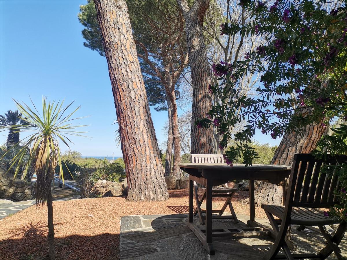 Vila Mas Senyarich Argelès-sur-Mer Exteriér fotografie