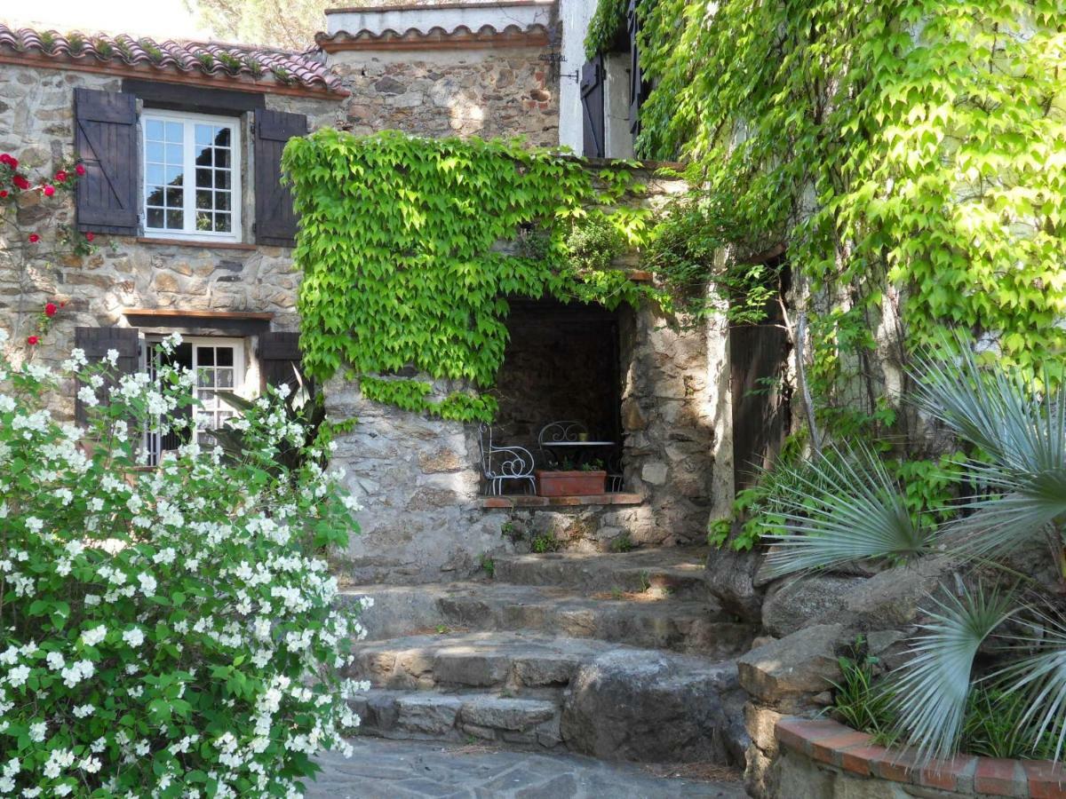 Vila Mas Senyarich Argelès-sur-Mer Exteriér fotografie