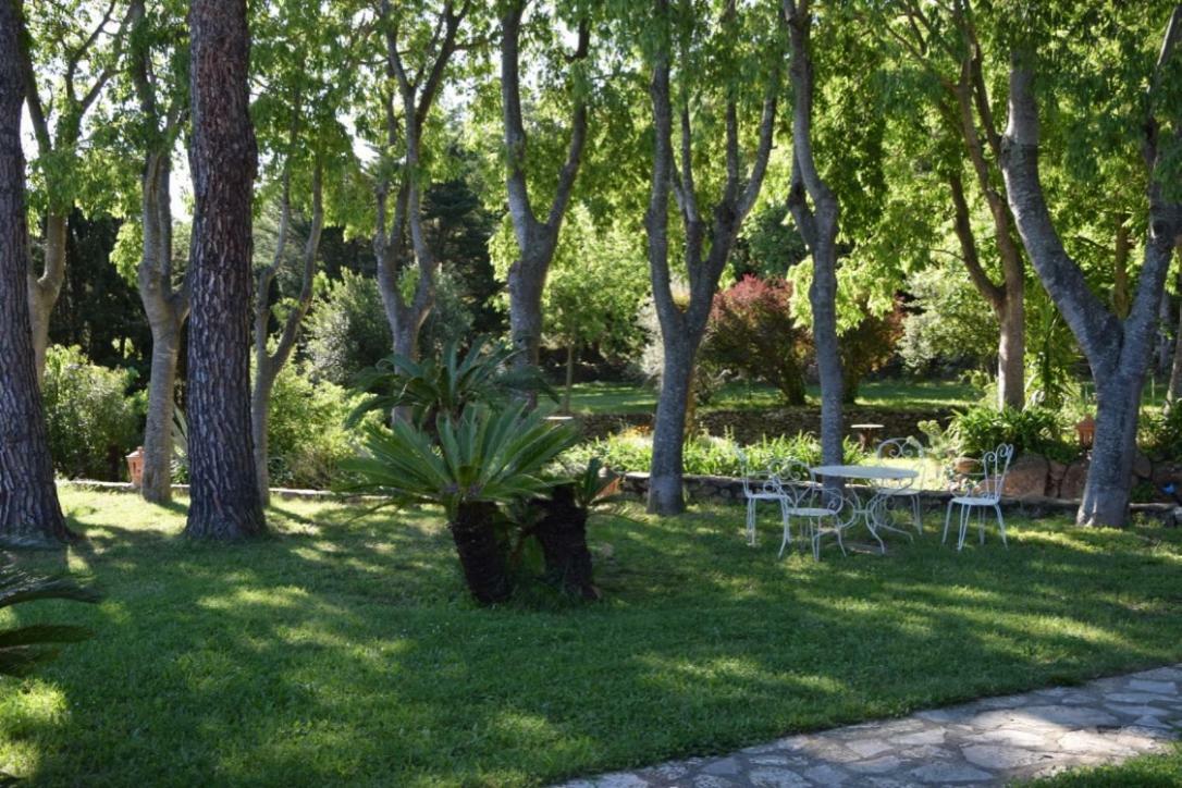 Vila Mas Senyarich Argelès-sur-Mer Exteriér fotografie